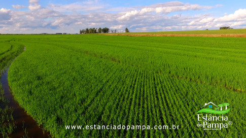 DOS EÓLICOS VIRA P FAZENDA_Moment.00_03_56_13.Quadro208_6ffbd5ade94c40257962bee09b0a1f64216a6549.jpg